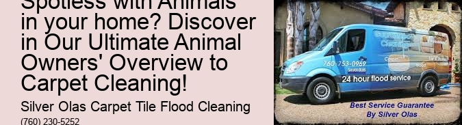 What is the Secret to Keeping Your Carpets Spotless with Animals in your home? Discover in Our Ultimate Animal Owners' Overview to Carpet Cleaning!