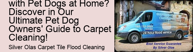 What is the Secret to Maintaining Your Carpetings Immaculate with Pet Dogs at Home? Discover in Our Ultimate Pet Dog Owners' Guide to Carpet Cleaning!