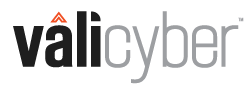 Vali Cyber logo
