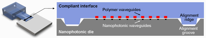 Compliant interface cross-section