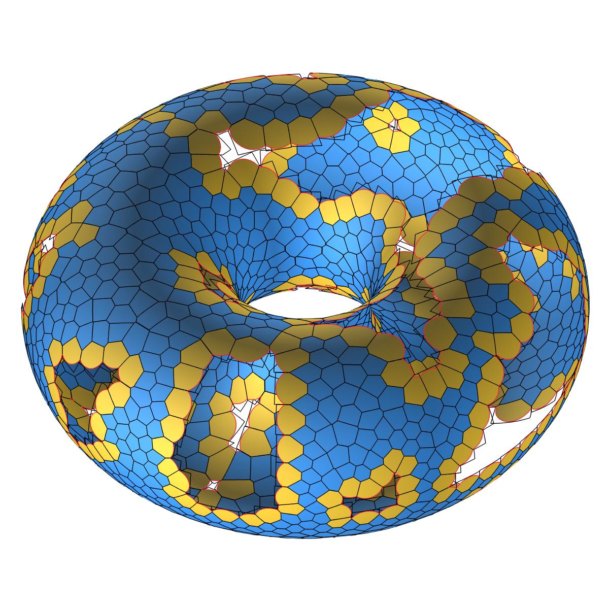 Partially covered torus