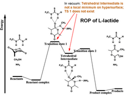 Reaction profile of the first step of the ring-opening polymerization (ROP) of L-lactide (in weakly polar solvent) using a thiourea based catalyst