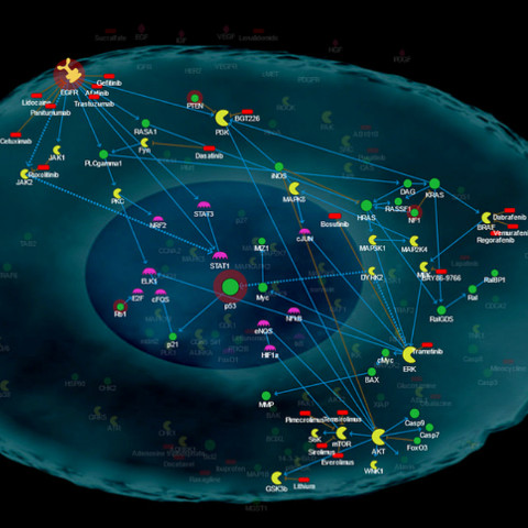 Screenshot of Bio Space