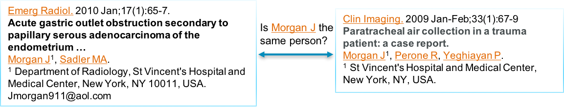 Human-in-the-Loop Entity Resolution and Knowledge Curation - IBM