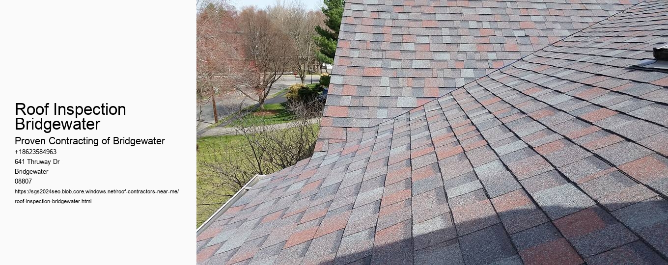 Roof Inspection Bridgewater