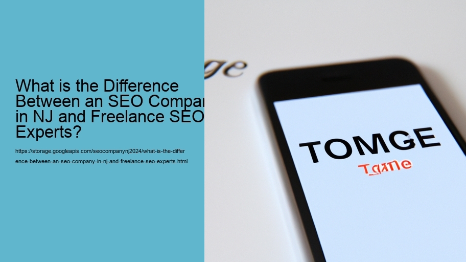 What is the Difference Between an SEO Company in NJ and Freelance SEO Experts?