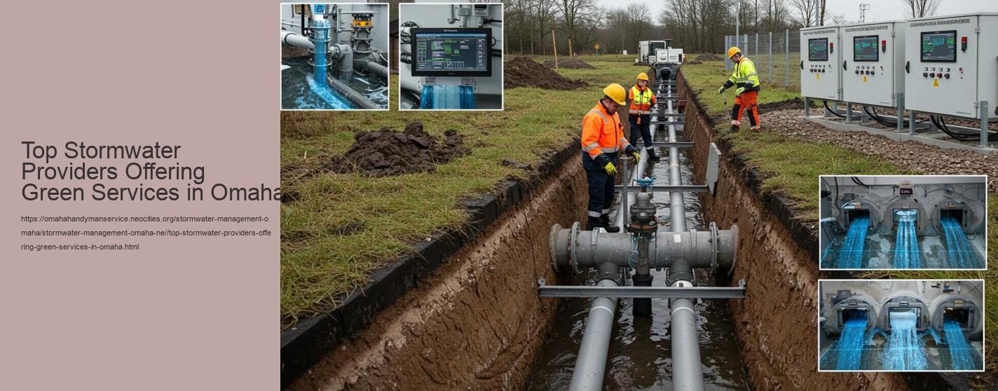 Top Stormwater Providers Offering Green Services in Omaha