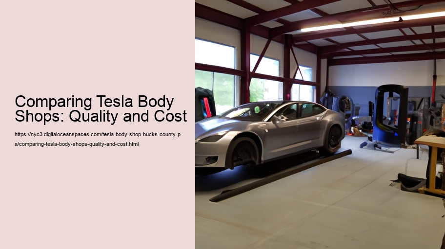 Comparing Tesla Body Shops: Quality and Cost