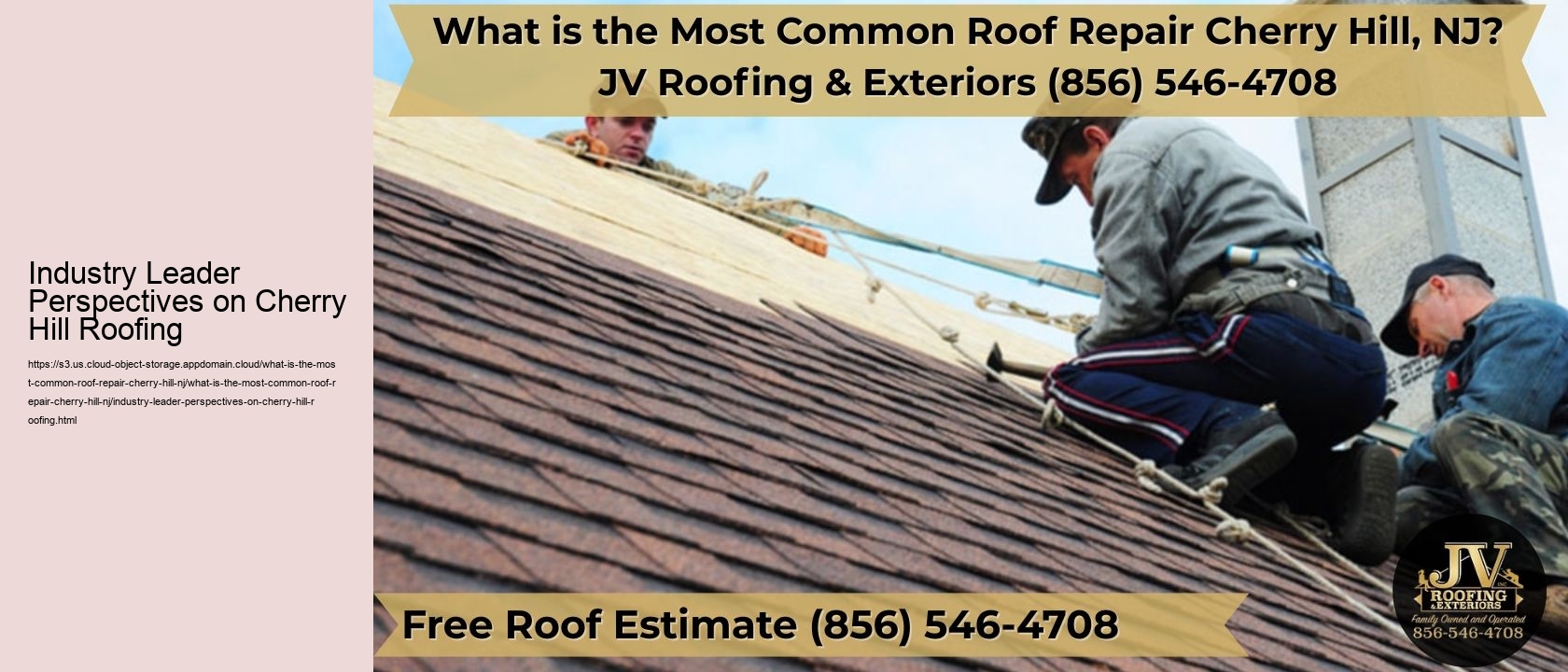 Industry Leader Perspectives on Cherry Hill Roofing